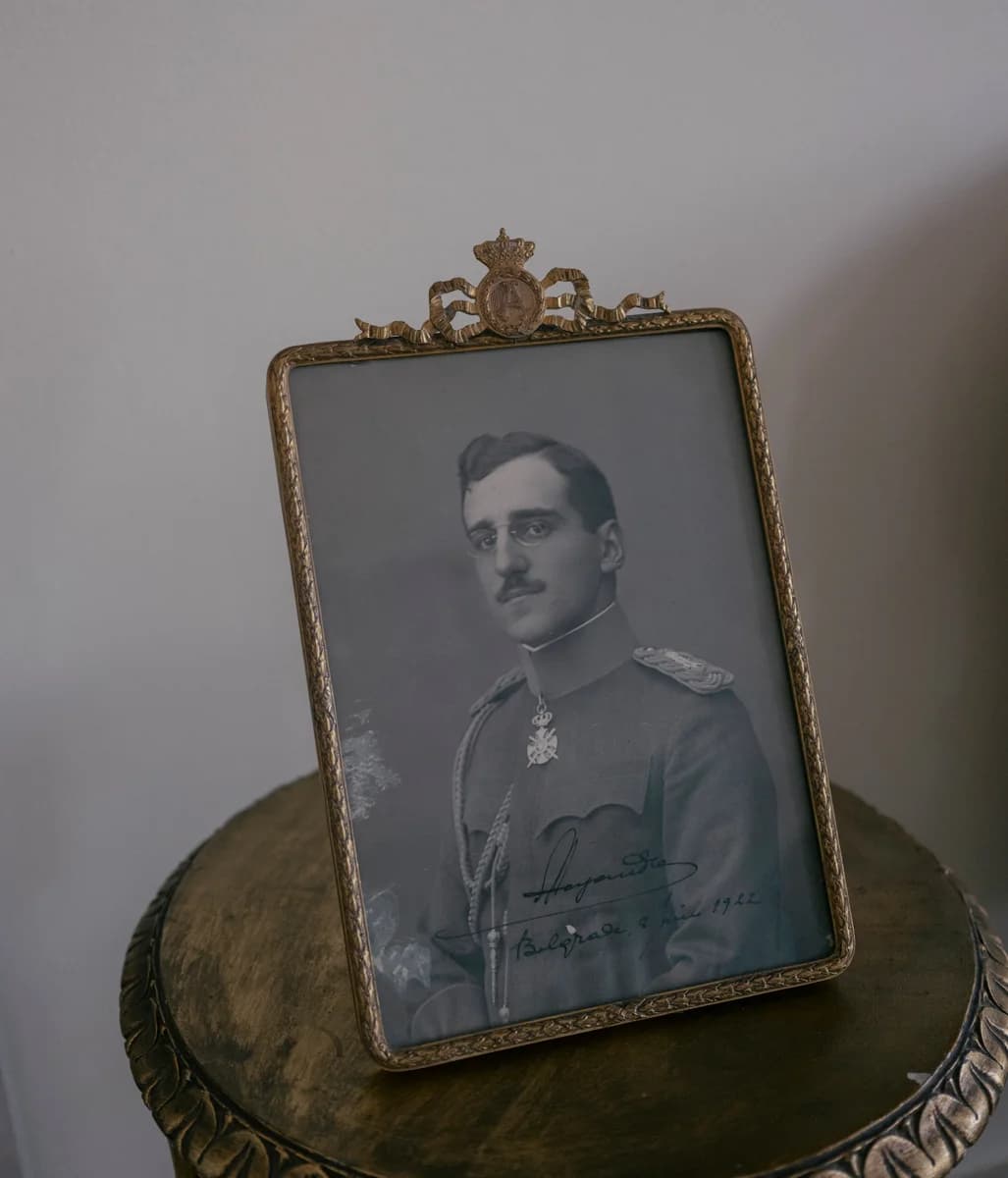 Danube Division - Photo 9