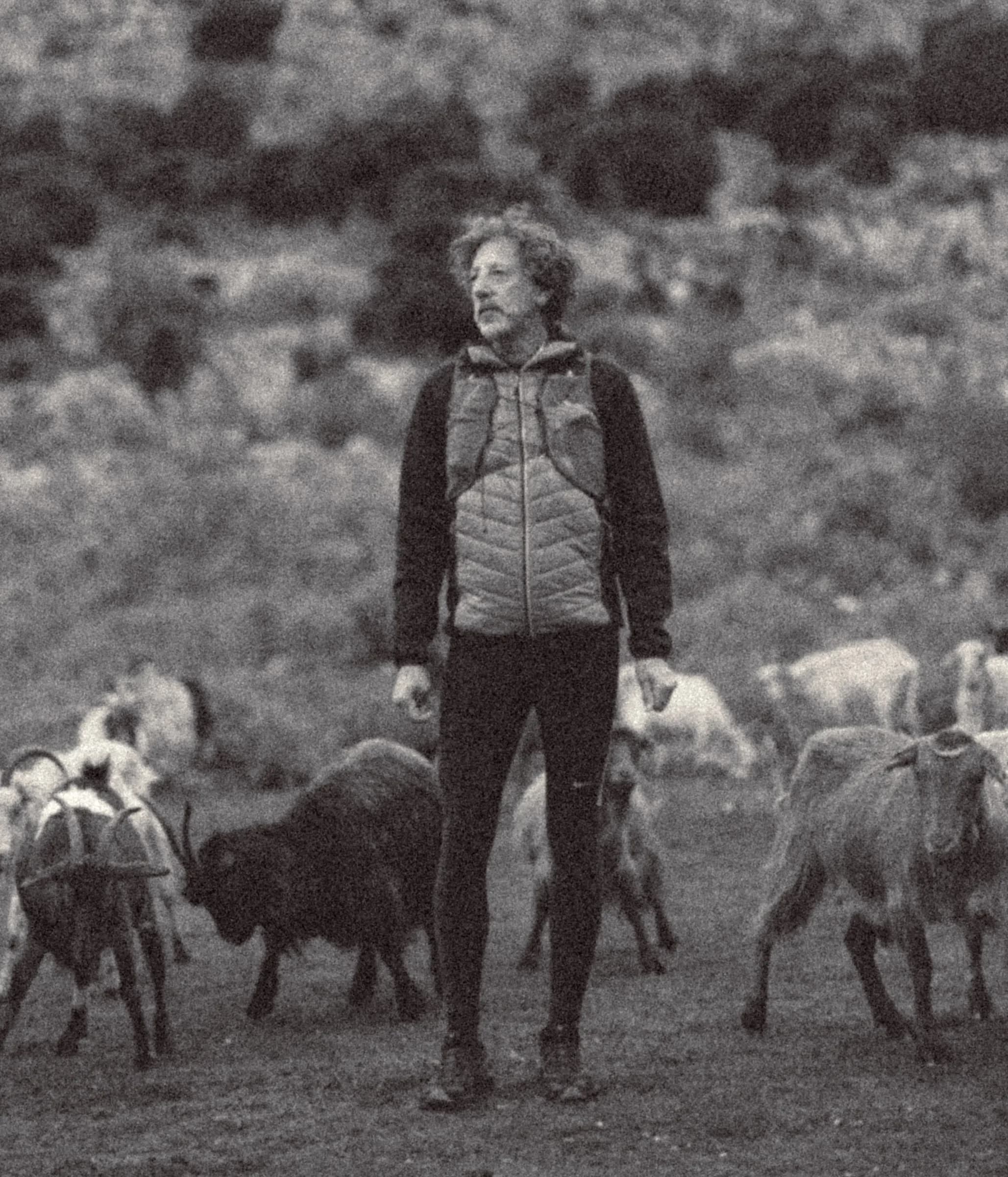 Skyrunner from Montenegro Goran Banovic - Photo 12