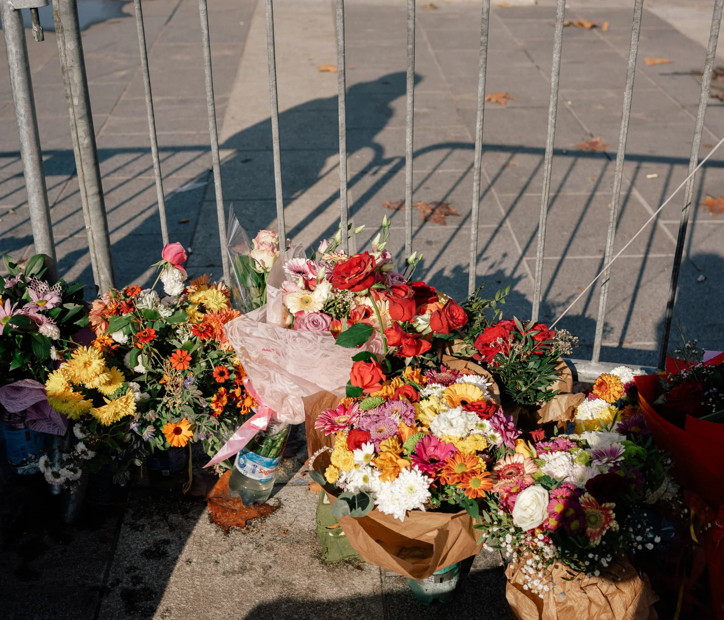 Dijana Hrka-hunger strike - Photo 1