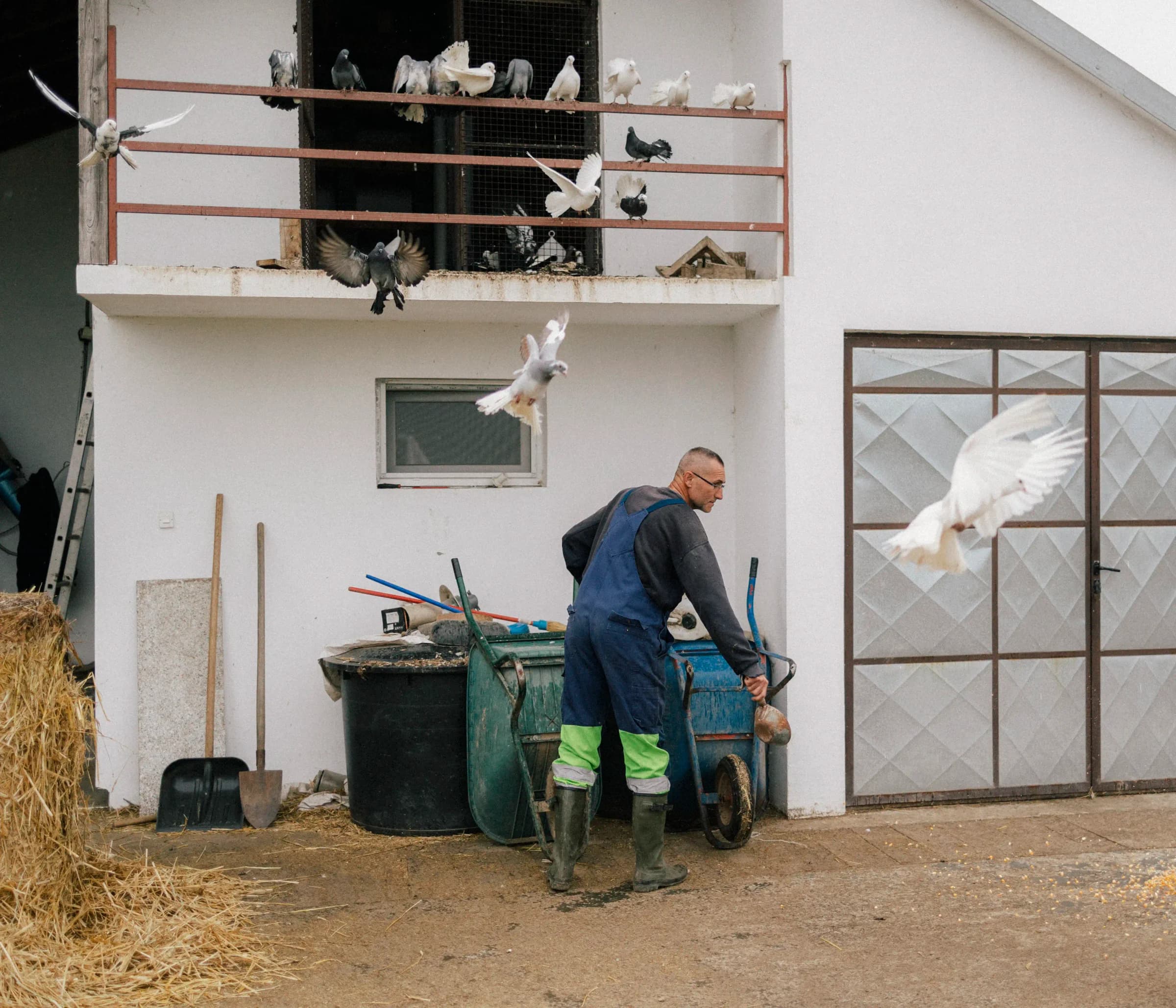 Story about Students protest in Serbia - Photo 10